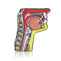 Alloy Side Throat Brooch Pin For Suits Sweaters And Coats view 5