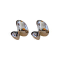 Light Luxury Metal C Letter Stud Earrings For Women Bold Fashion Silver Needle Ear Jewelry view 5