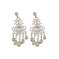 Light Luxury Alloy Teardrop Tassel Drop Earrings With Rhinestone Flower Silver Needle view 5