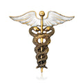 Gold Tone Silver Tone Winged Caduceus Enamel Metal Brooch Pin view 1