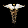 Gold Tone Silver Tone Winged Caduceus Enamel Metal Brooch Pin view 2