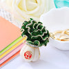 Cabbage