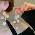 Light Luxury Irregular Shell Tassel Drop Earrings Geometric Silver Needle Fashion Jewelry view 3