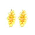 Round Shell Tassel Drop Earrings For Women, Geometric Beach Vacation Style Silver Needle Jewelry view 5