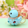 Sky-Blue Duck