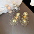 Chic Metal Irregular Hollow Round Tassel Drop Earrings With Silver Pin Geometric Light Luxury Style view 4