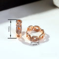 New Zircon Chain Ear Cuff Earrings, Korean Style Light Luxury Women's Fashion Jewelry view 4