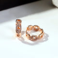 New Zircon Chain Ear Cuff Earrings, Korean Style Light Luxury Women's Fashion Jewelry view 5