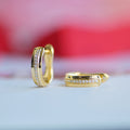 Gold Edge Micro Pave Fashion Earrings For Women, Light Luxury Daily Zircon Jewelry view 1