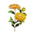 Red Green Daisy Three Designs Metal Brooch Pin for Jackets and Lapels view 7
