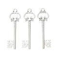 Vintage Zinc Alloy DIY Jewelry Accessory Key Charm Pendant For Bracelet And Craft Making view 3