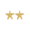 Stainless Steel Metal Texture Star Stud Earrings Minimalist Light Luxury Fashion Ear Jewelry view 5