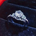 Elegant Light Luxury Couple Ring Set For Women, Micro Inlaid Wedding Banquet Jewelry view 3