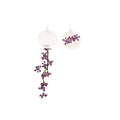 Chic Asymmetric Shell Bauhinia Flower Tassel Drop Earrings With Geometric Round Charm view 5