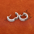 Daily Commuter Earrings For Women With Micro Pave Zircon, Delicate Fashion Matching Jewelry view 4