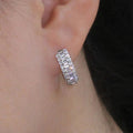 Elegant Micro Pave Zircon Earrings For Women, Lady Style Fashion Jewelry For view 3