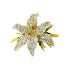 KC Gold