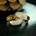 Micro Pave Zircon French Style Earrings, Elegant Fashion Office Jewelry Accessories view 3
