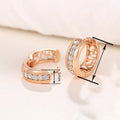 Japan Korea Hollow Zircon Inlaid Earrings For Women, Elegant Sweet Commuter Jewelry view 4