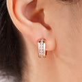 Japan Korea Hollow Zircon Inlaid Earrings For Women, Elegant Sweet Commuter Jewelry view 3
