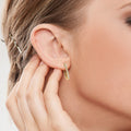 Simple Square Huggie Earrings For Women, Micro Pave Cubic Zirconia French Style Jewelry view 3