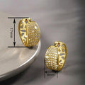 Women's Sparkling Zircon Inlaid Earrings, Light Luxury Exotic Elegant Fashion Jewelry view 4