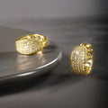 Women's Sparkling Zircon Inlaid Earrings, Light Luxury Exotic Elegant Fashion Jewelry view 3