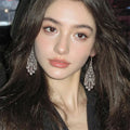 Vintage Ethnic Alloy Hollow Flower Teardrop Tassel Drop Earrings view 2