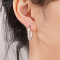 Summer Metal Hoop Earrings For Women, Four Prong Zircon Round Geometric Light Luxury Jewelry view 2