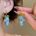 Forest Style Resin Grape Tassel Drop Earrings With Silver Needle Fruit Pendant Design view 4