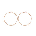 Minimalist Metal Hoop Earrings With Silver Needle Posts, European American Niche Fashion Design view 5
