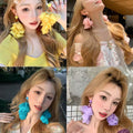 Silver Needle Crystal Resin Fabric Flower Tassel Drop Earrings For Women Resort Style view 1