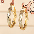 Hot Selling Spiral Double Sided Electroplated Ear Cuff Earrings For Women, Trendy Cool Girl Jewelry view 2