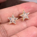 Delicate Star Stud Earrings For Women, Minimalist Daily Fashion Y2K Sweet Personality Accessory view 5