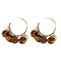 Light Luxury Resin Leopard Print Geometric Tassel Drop Earrings With Silver Needle Retro Hong Kong Style view 5