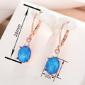 New Fashion Drop Earrings For Women, Stylish Ear Cuff, Light Luxury Jewelry Accessory view 4