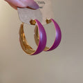 Frosted Solid Color Metal Hoop Earrings With Silver Needle, Minimalist European Style Women's Jewelry view 4