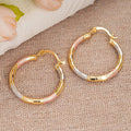 Korean Metal Oil Painting Hoop Earrings For Women Y2K Niche Fashion Jewelry view 4
