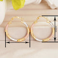 Korean Metal Oil Painting Hoop Earrings For Women Y2K Niche Fashion Jewelry view 3