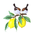 Alloy Enamel Lemon Bird Brooch Pin Scarf Buckle Accessory view 5
