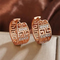 Electroplated Metal Ear Cuffs For Women, Micro Pave Sparkling Great Wall Texture Light Luxury Earrings view 6