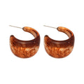 Resin Gradient C Shape Round Geometric Maillard Style Silver Needle Drop Earrings view 5