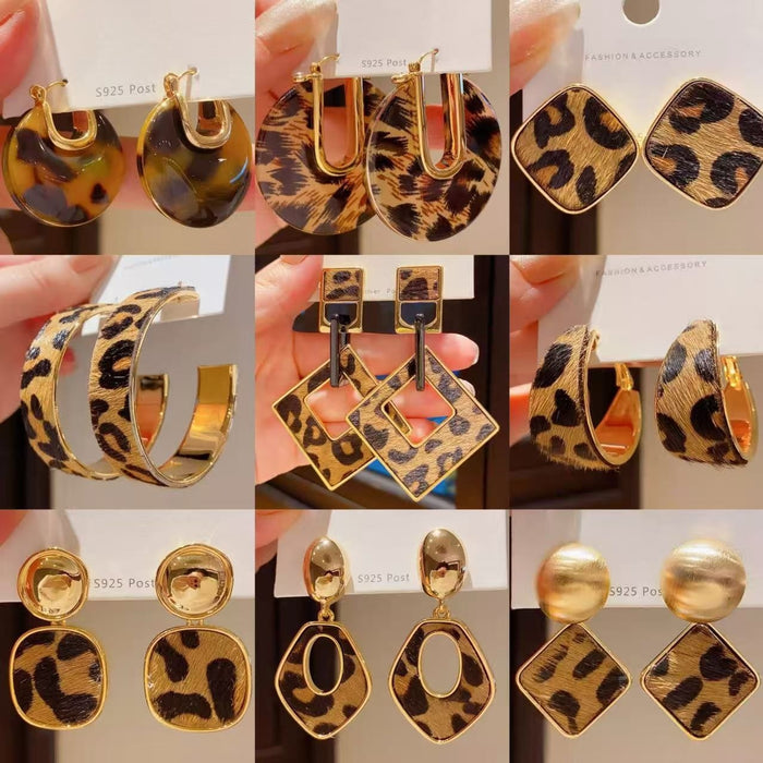 Maillard Style Leather Leopard Print Round Geometric Stud Earrings With Silver Needles
