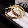 Elegant Leopard Print Geometric Round Hoop Alloy Gold Plated Statement Women's Stud Earrings view 4