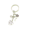 Stainless Steel Pet Memorial Keychain Dog Cat Remembrance Gift view 5