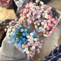 Floral Resin Ring Hair Clip Elegant Pastoral Star Flower Duckbill Barrette Light Luxury Hair Accessory view 2