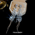 Silver Needle Zircon Crystal Beaded Chain Tassel Drop Earrings For Women Light Luxury Style view 4