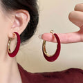 Light Luxury Flocked Round Iron Hoop Earrings, Minimalist Vintage Geometric Women's Jewelry view 3