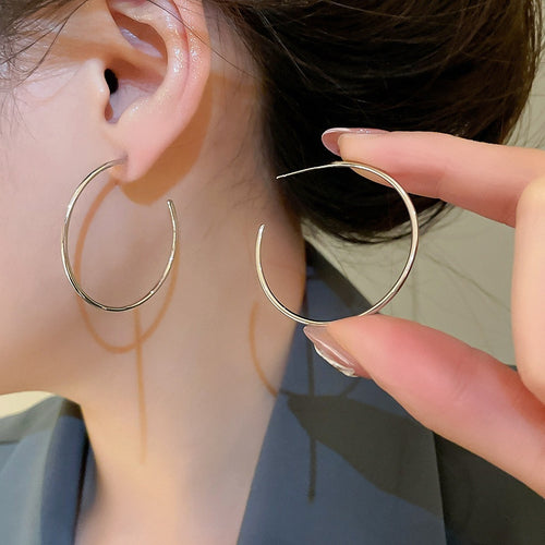 Iron Geometric Round Rhinestone Tassel Hoop Earrings With Silver Pins, Minimalist Light Luxury Style