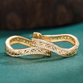 Trendy Women's S Shape Ear Cuffs With Bohemian Court Style Micro Pave Hollow Irregular Design Earrings view 3